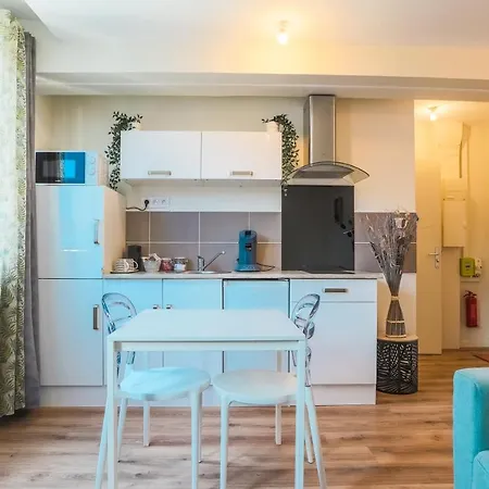 Le Rabanesse 公寓 克莱蒙费朗