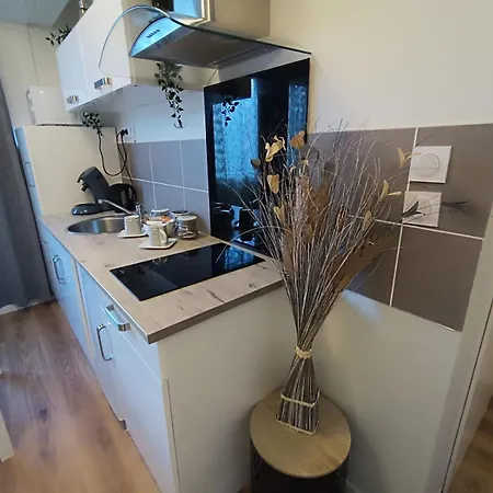 公寓 Le Rabanesse 克莱蒙费朗